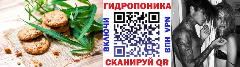 сколько стоит  МЕГА маркетплейс  Печенье с ТГК конопля  Мирный 