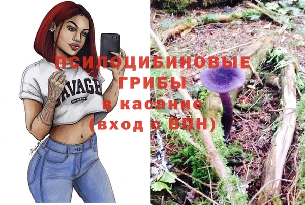 прущие крисы Бугульма