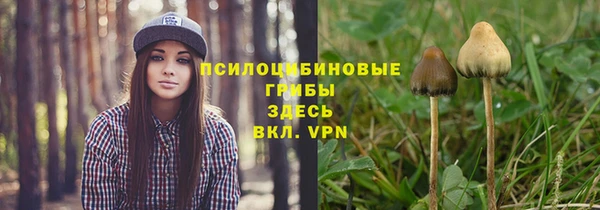 прущие крисы Бугульма