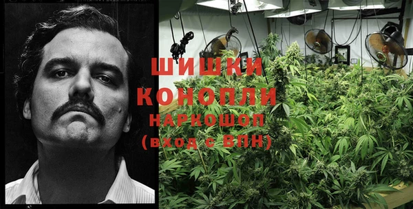 прущие крисы Бугульма
