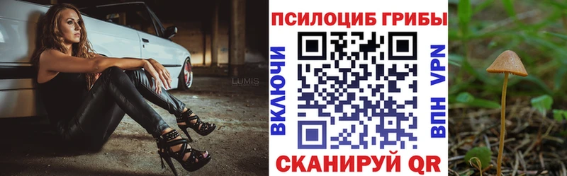 Галлюциногенные грибы MAGIC MUSHROOMS  гидра tor  мориарти телеграм  Мирный 